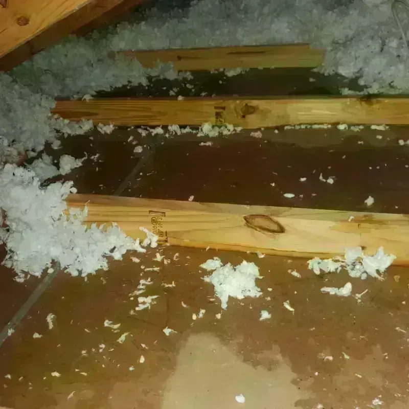 Attic Water Damage in Fordyce, AR